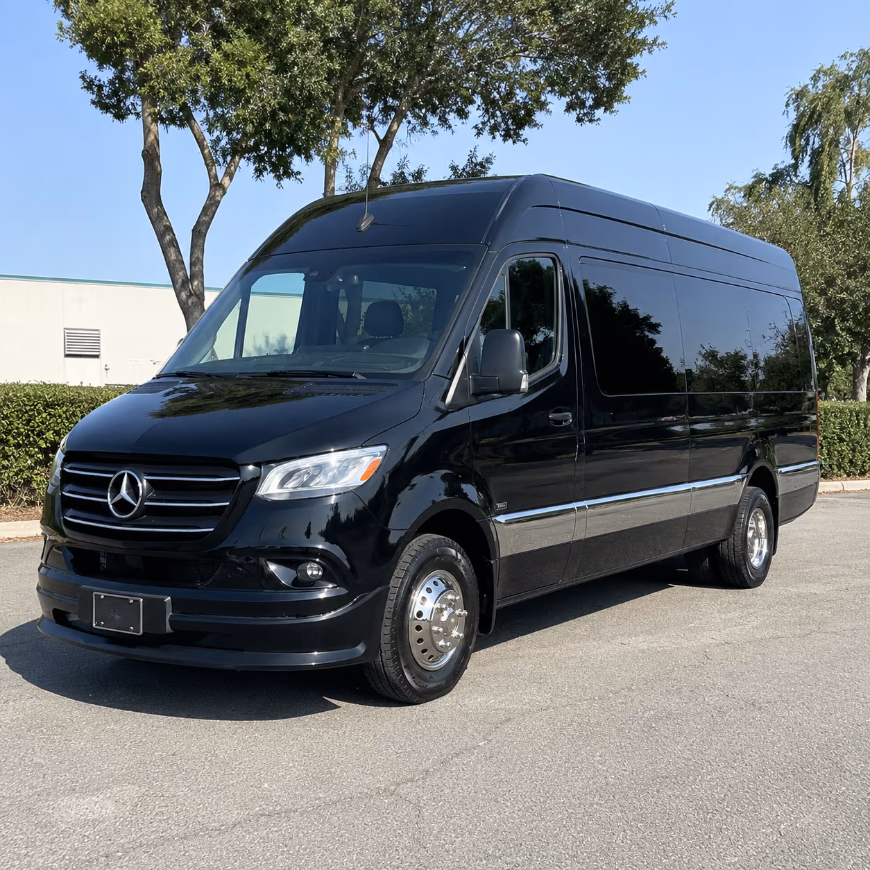 14 Passenger Sprinter Limo Exterior
