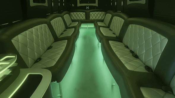 roswell 20 passenger party bus